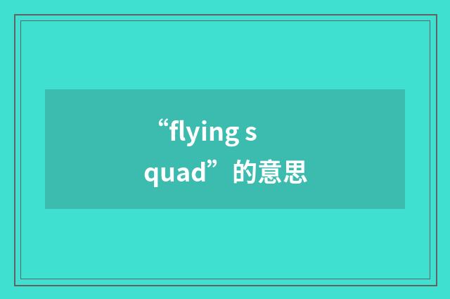 “flying squad”的意思