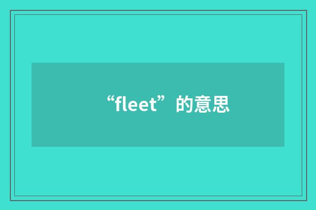 “fleet”的意思