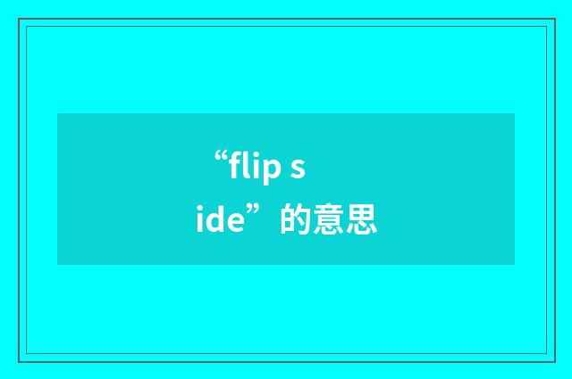 “flip side”的意思