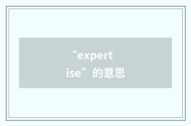 “expertise”的意思