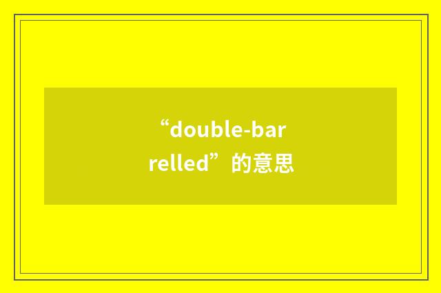 “double-barrelled”的意思