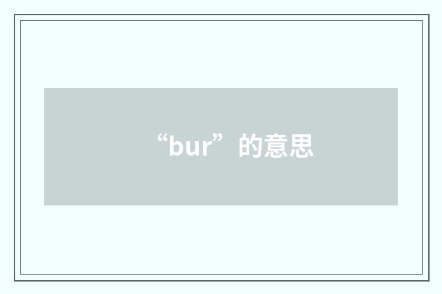 “bur”的意思