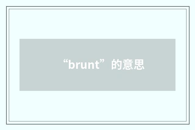 “brunt”的意思