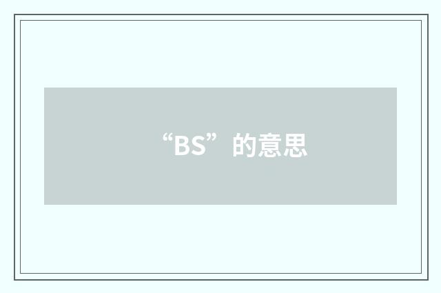 “BS”的意思