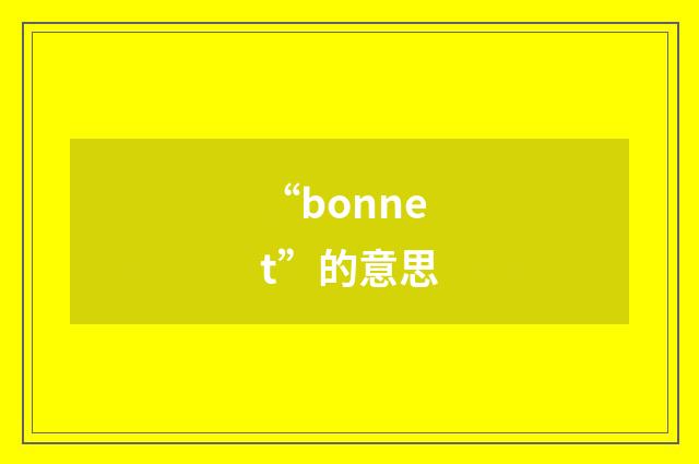 “bonnet”的意思
