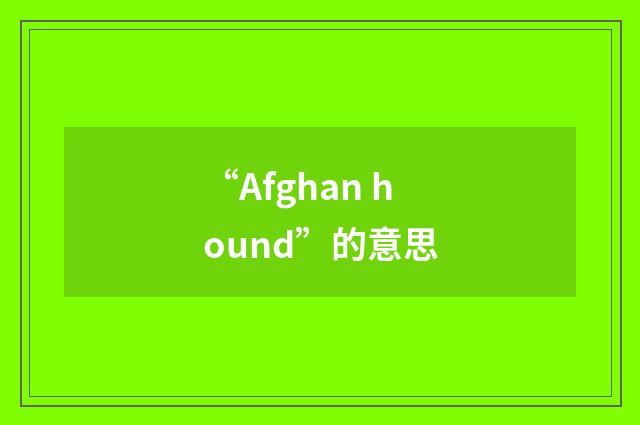 “Afghan hound”的意思