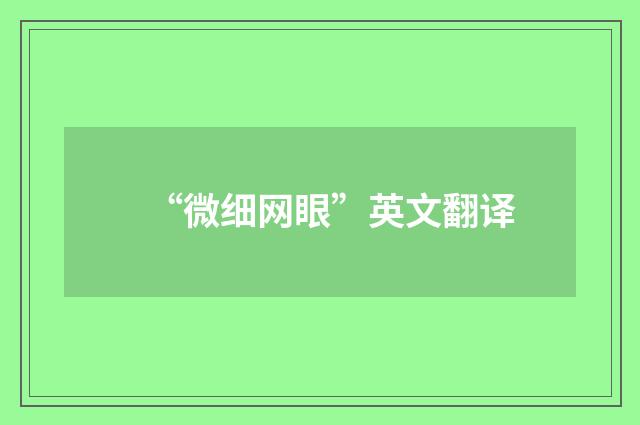 “微细网眼”英文翻译