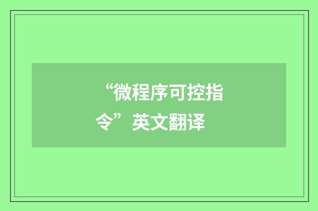 “微程序可控指令”英文翻译
