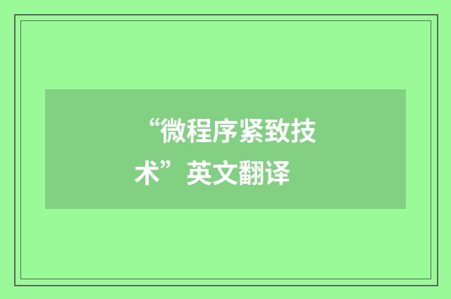 “微程序紧致技术”英文翻译