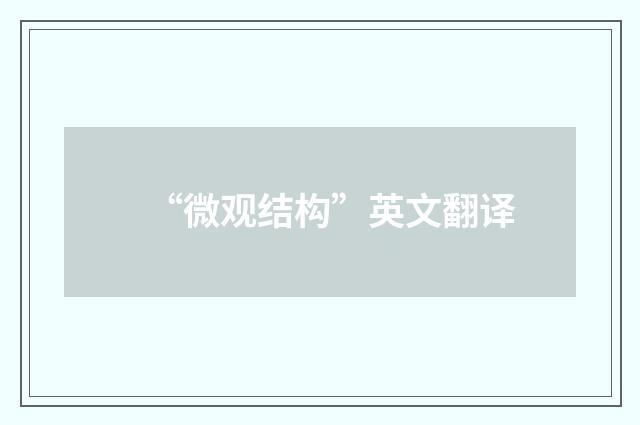 “微观结构”英文翻译