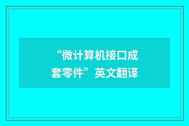 “微计算机接口成套零件”英文翻译