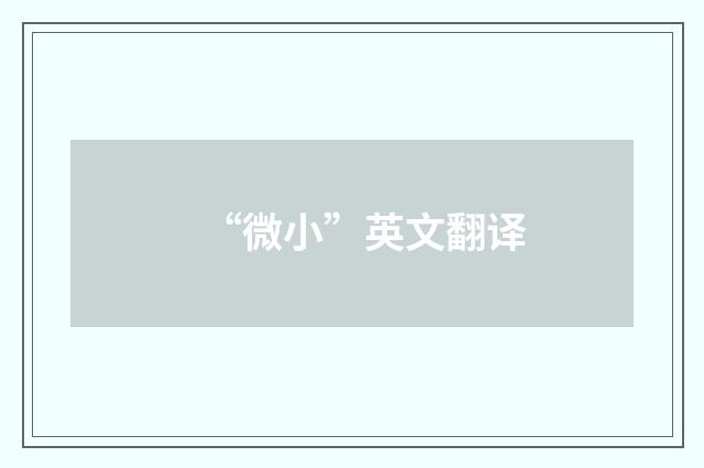 “微小”英文翻译