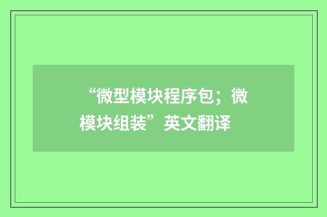 “微型模块程序包；微模块组装”英文翻译