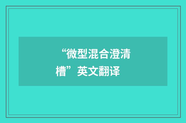 “微型混合澄清槽”英文翻译