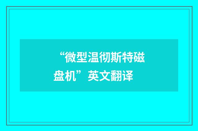 “微型温彻斯特磁盘机”英文翻译