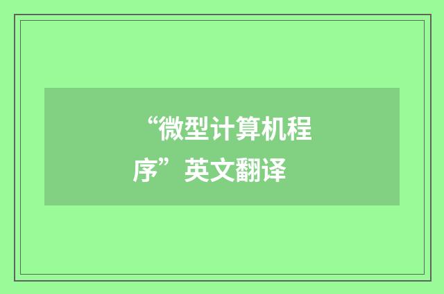 “微型计算机程序”英文翻译