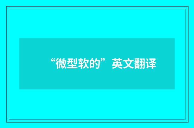 “微型软的”英文翻译