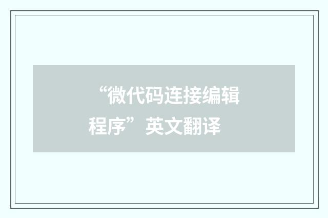 “微代码连接编辑程序”英文翻译