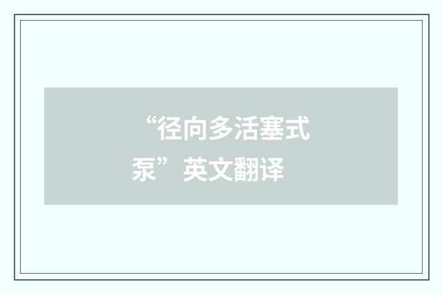 “径向多活塞式泵”英文翻译