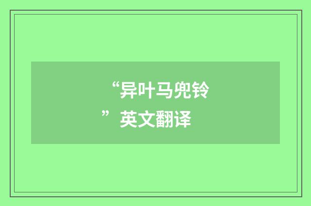 “异叶马兜铃”英文翻译