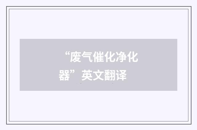 “废气催化净化器”英文翻译