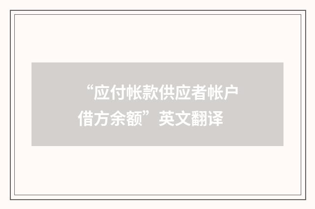 “应付帐款供应者帐户借方余额”英文翻译