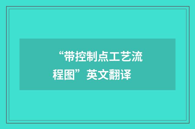 “带控制点工艺流程图”英文翻译