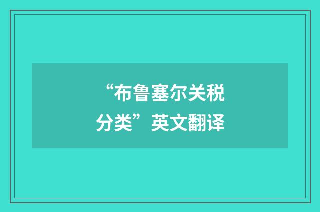 “布鲁塞尔关税分类”英文翻译