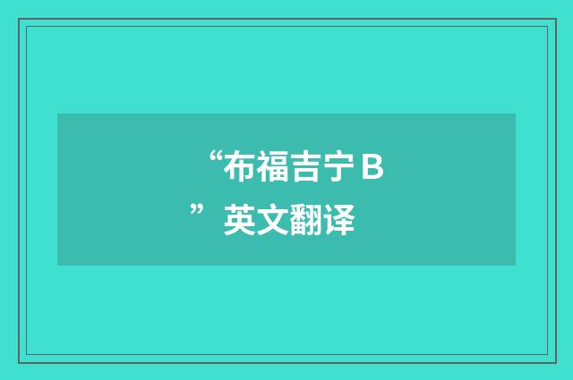 “布福吉宁Ｂ”英文翻译