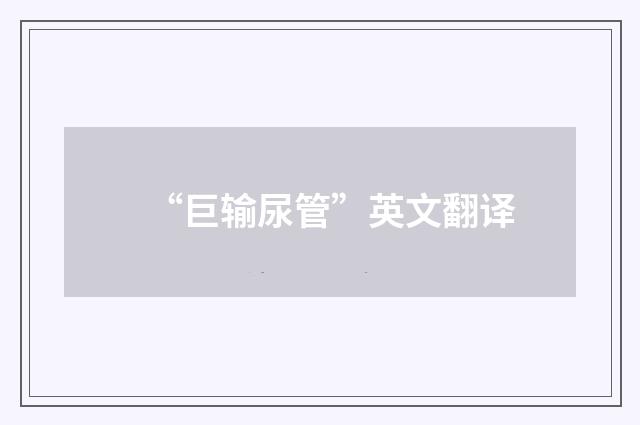 “巨输尿管”英文翻译