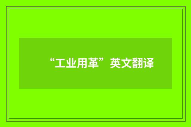 “工业用革”英文翻译