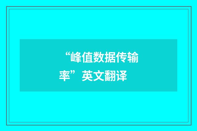 “峰值数据传输率”英文翻译