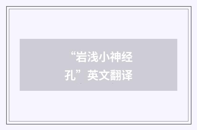 “岩浅小神经孔”英文翻译