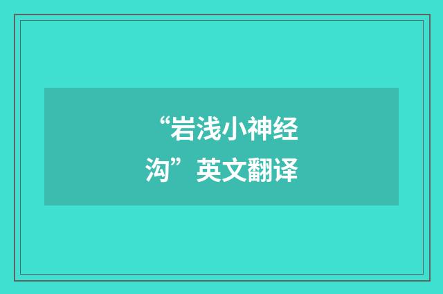 “岩浅小神经沟”英文翻译