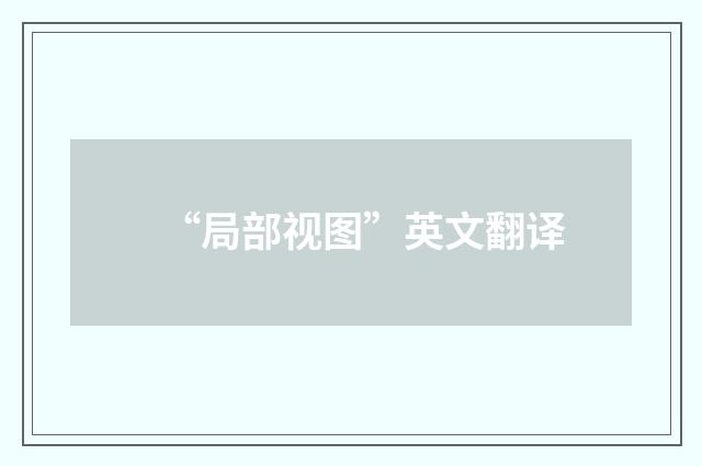 “局部视图”英文翻译