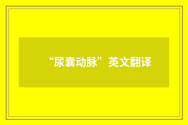 “尿囊动脉”英文翻译