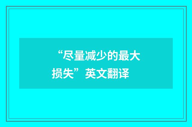 “尽量减少的最大损失”英文翻译