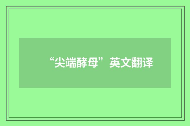 “尖端酵母”英文翻译