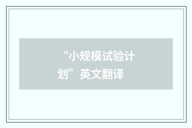 “小规模试验计划”英文翻译
