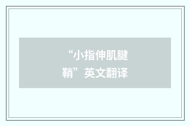 “小指伸肌腱鞘”英文翻译