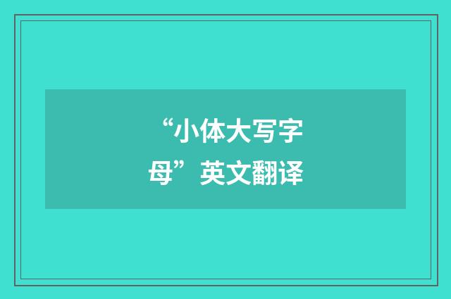 “小体大写字母”英文翻译