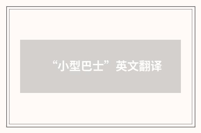 “小型巴士”英文翻译