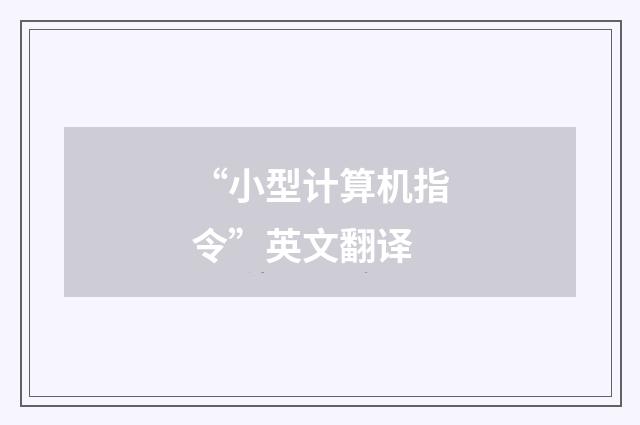 “小型计算机指令”英文翻译