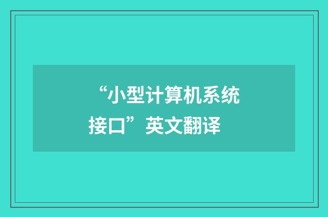 “小型计算机系统接口”英文翻译