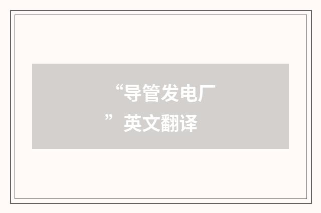 “导管发电厂”英文翻译