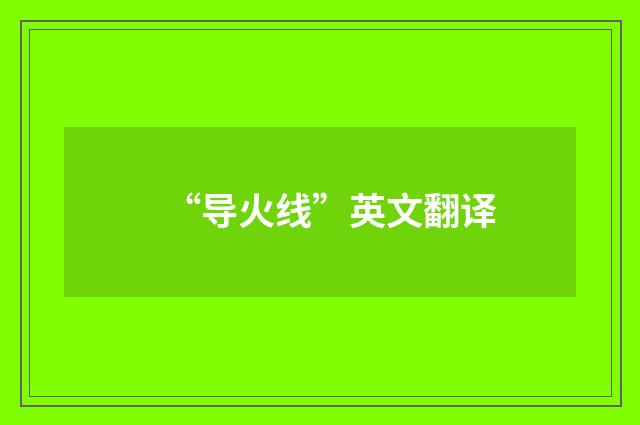 “导火线”英文翻译