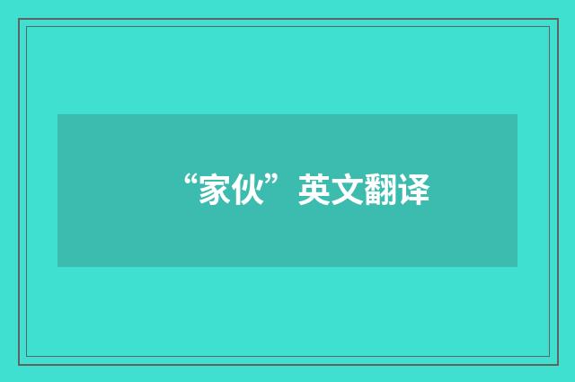 “家伙”英文翻译