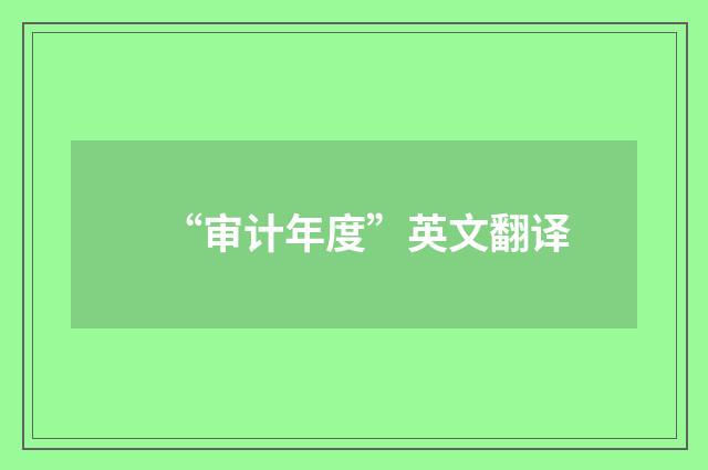 “审计年度”英文翻译