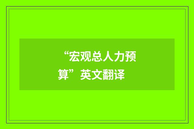 “宏观总人力预算”英文翻译