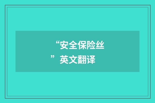 “安全保险丝”英文翻译